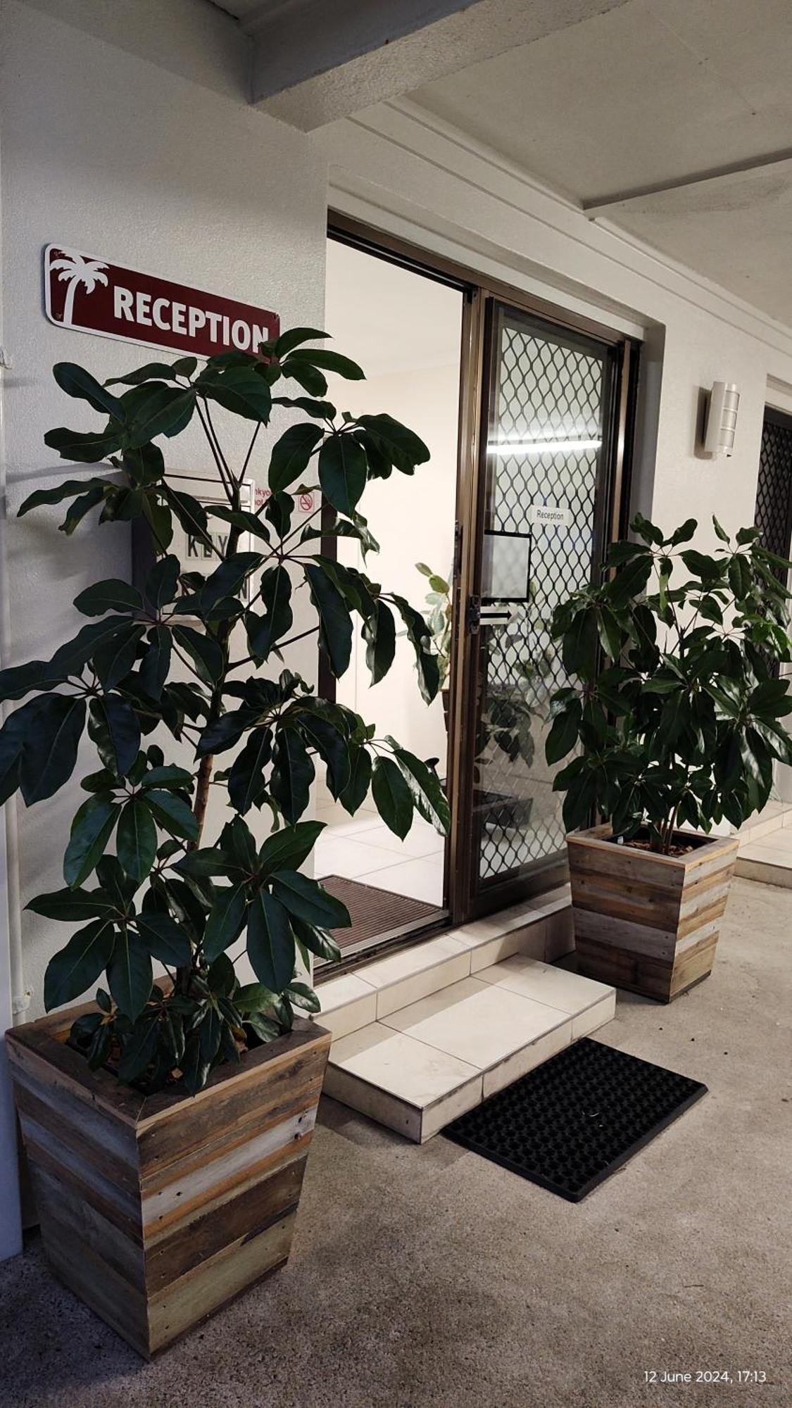 Pacific Palms Motor Inn Маркула Экстерьер фото
